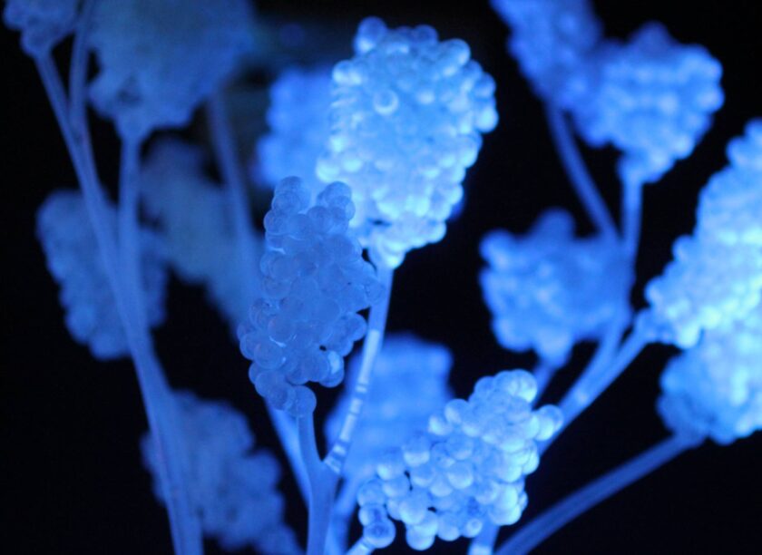 8379D328 E47F 4Ba3 8589 C277E9A36C04