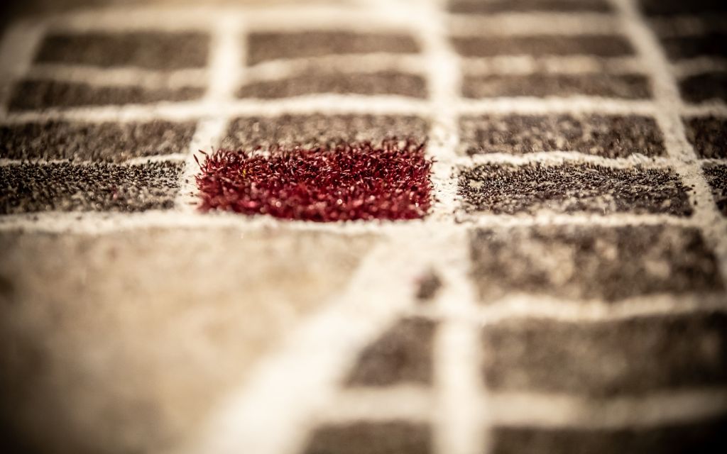 Mu Evolutionaries Hanneke Wetzer 114