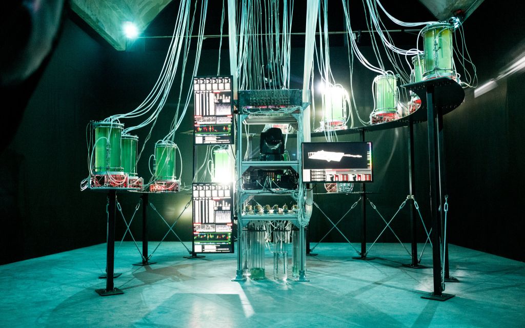 Abc Boudewijn Bollmann 95 K