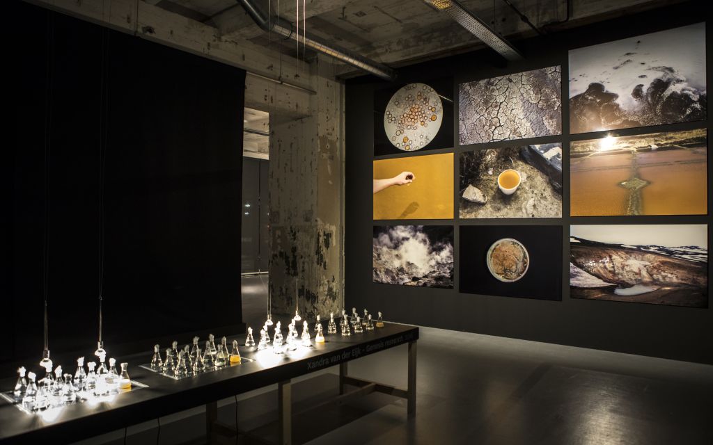 Opening Fluid Matter Hanneke Wetzer 15