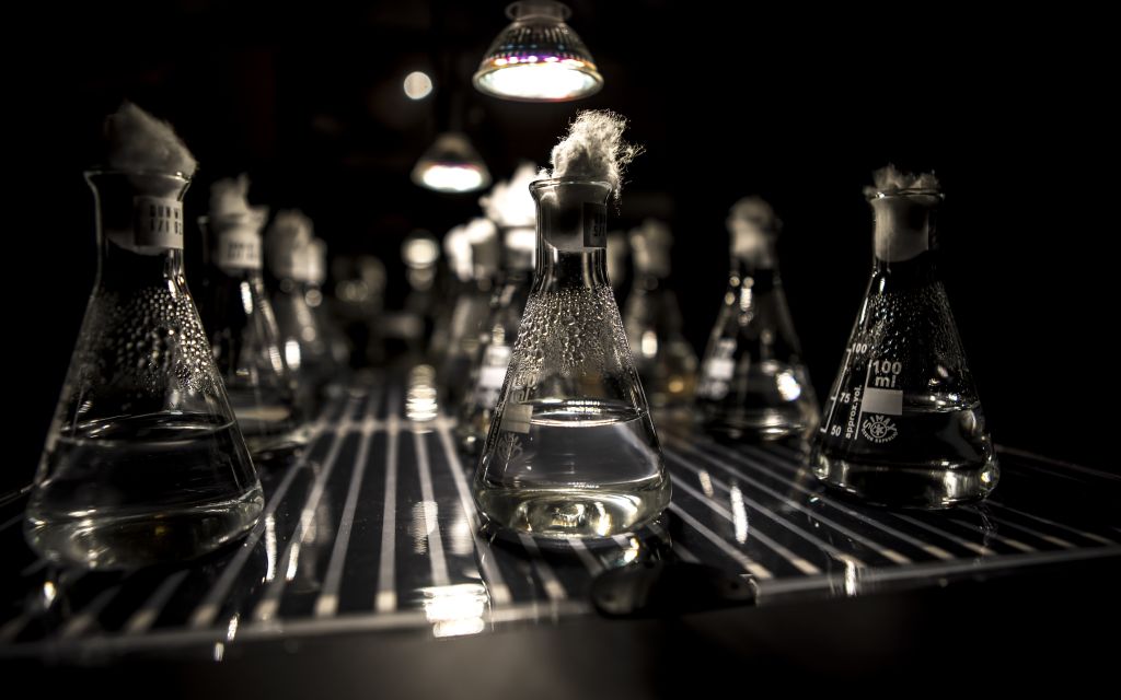 Opening Fluid Matter Hanneke Wetzer 20