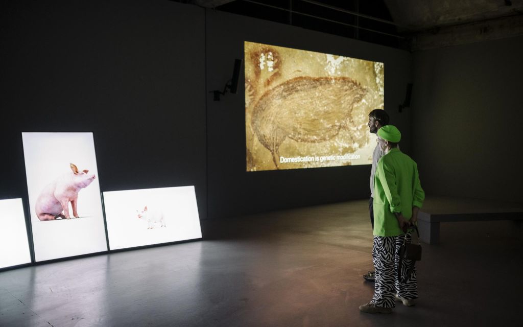 20221216 Mu Bad Maxkneefel 95947