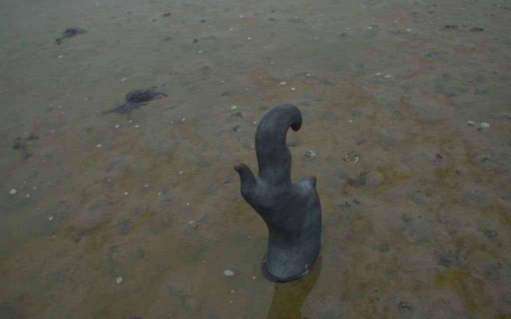 Microbial Prophetesses Still Video Wouter 1